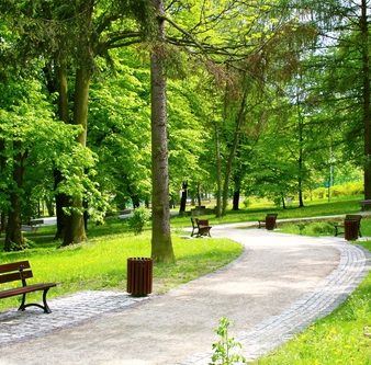 Blog - Thumbnail Image