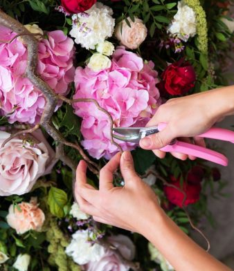 Blog - Thumbnail Image