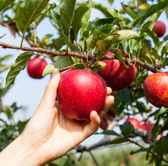 Blog - Thumbnail Image