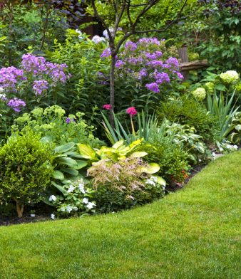 Blog - Thumbnail Image