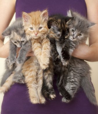 Blog - Thumbnail Image