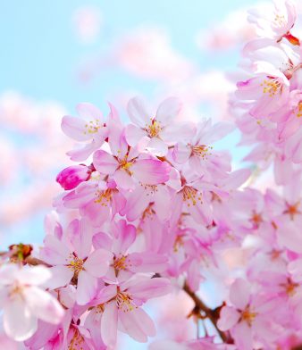 Blog - Thumbnail Image