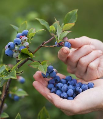 Blog - Thumbnail Image