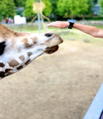 Blog - Thumbnail Image