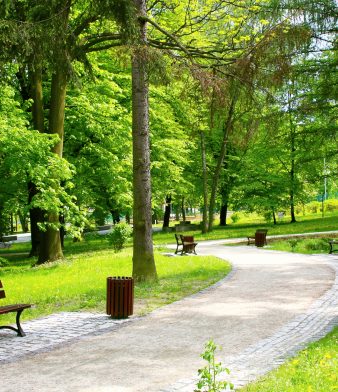 Blog - Thumbnail Image