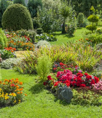 Blog - Thumbnail Image