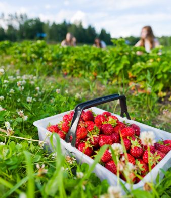 Blog - Thumbnail Image