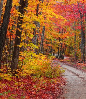 Blog - Thumbnail Image